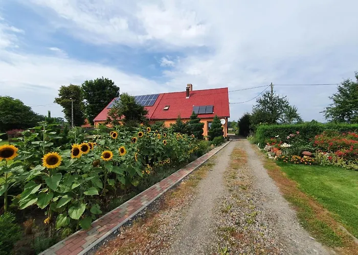 Daire Udany Wypoczynek *