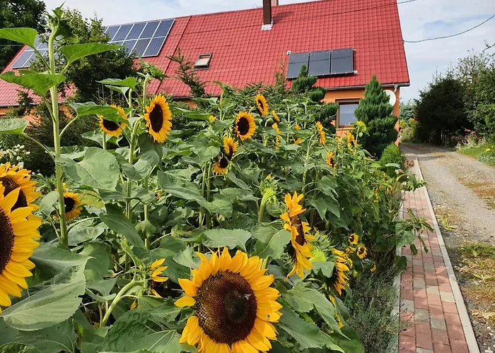 Daire Udany Wypoczynek